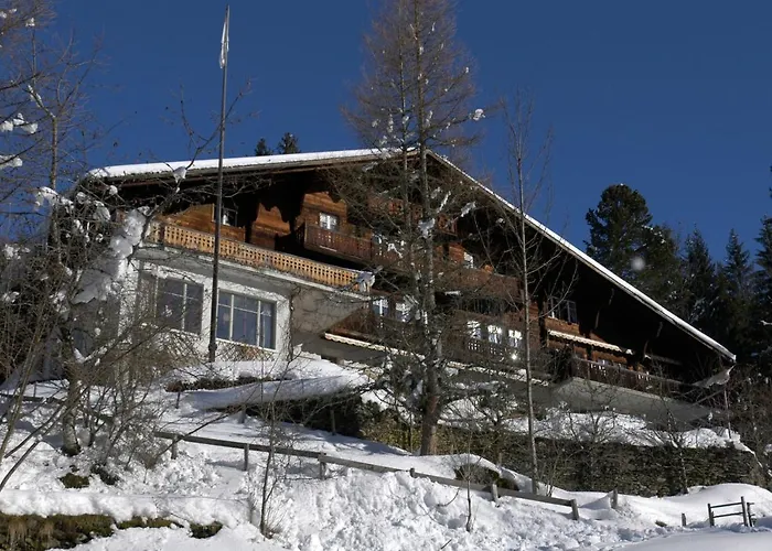 Grindelwald hotels near Paragliding Grindelwald