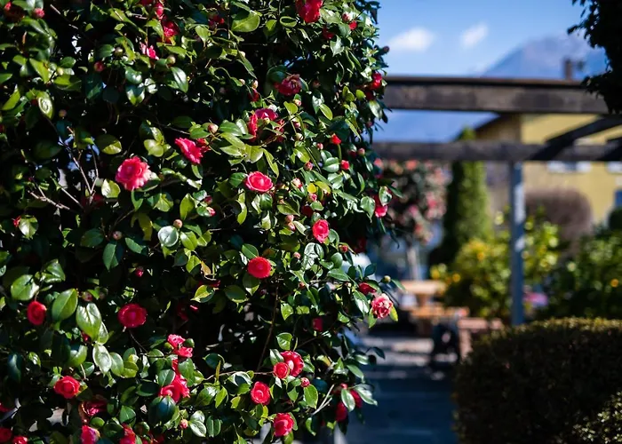 Ascona Hotels