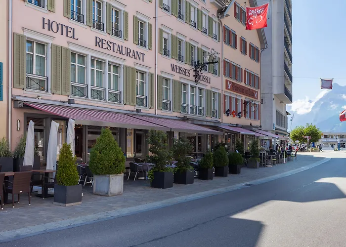 Brunnen Hotels