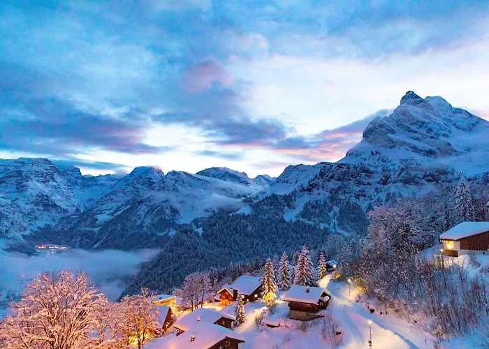 Braunwald Hotels