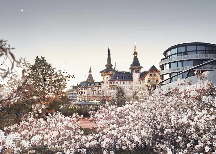 Zurich Hotels With Pool