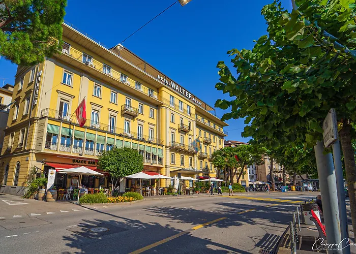 Vezia Hotels