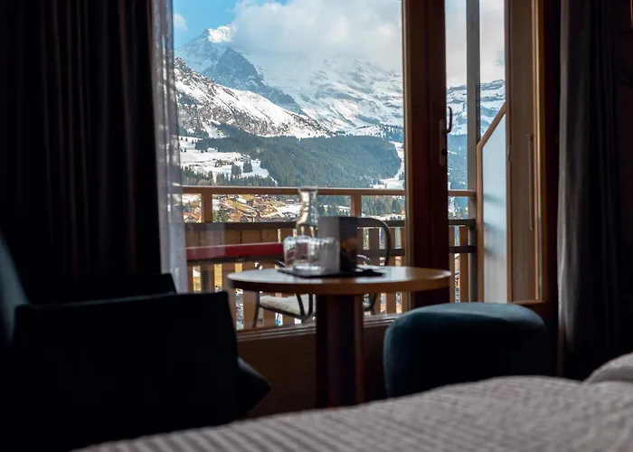 Brienzwiler Hotels