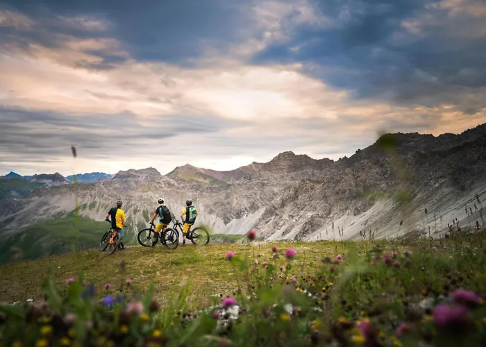 Arosa Hotels