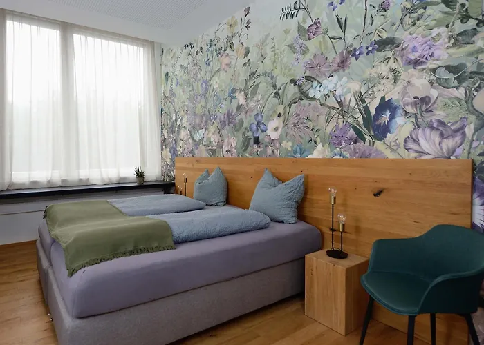 Diepoldsau Hotels
